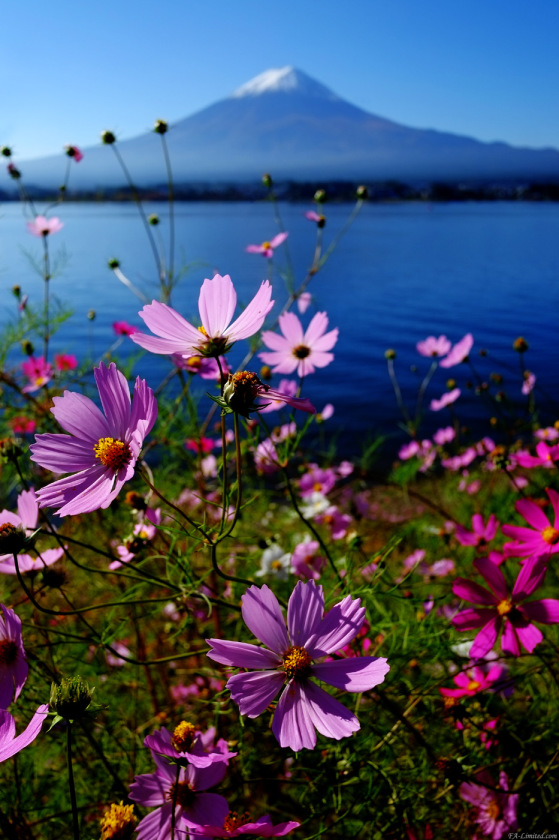 tak1510_Fujisan02.jpg tak1510_Fujisan02.jpg