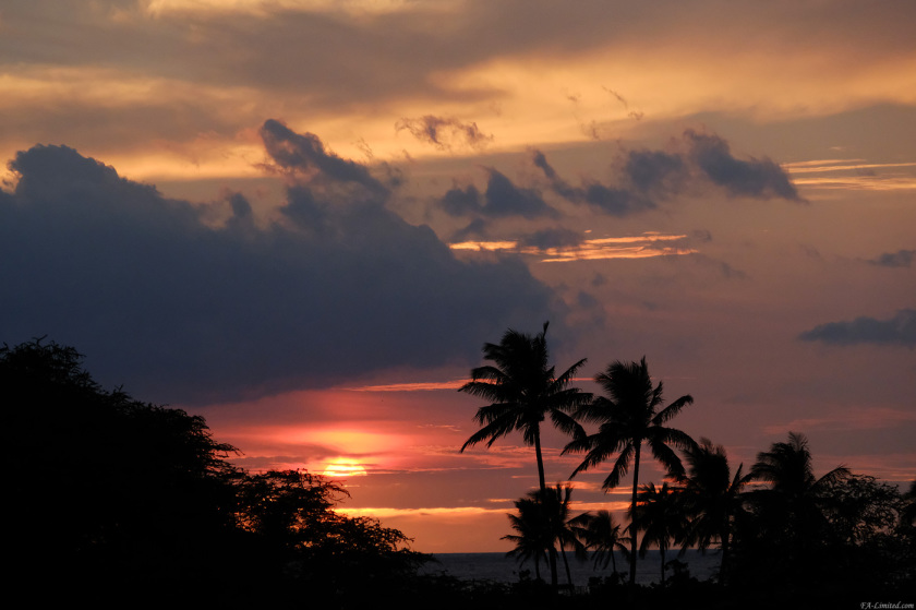 tak1806_HawaiiB_06.jpg