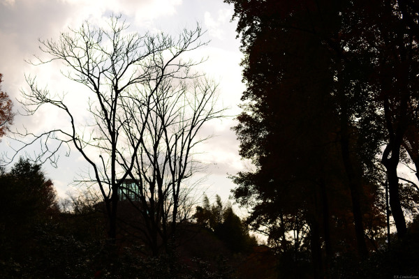 tak1412_Arboretum05.jpg