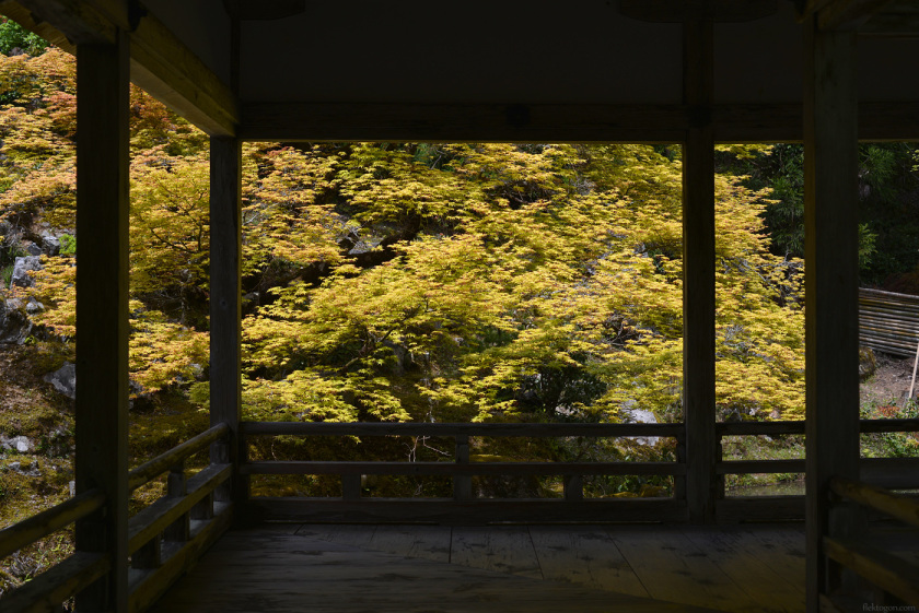 201705_Joshokoji06.jpg 201705_Joshokoji06.jpg