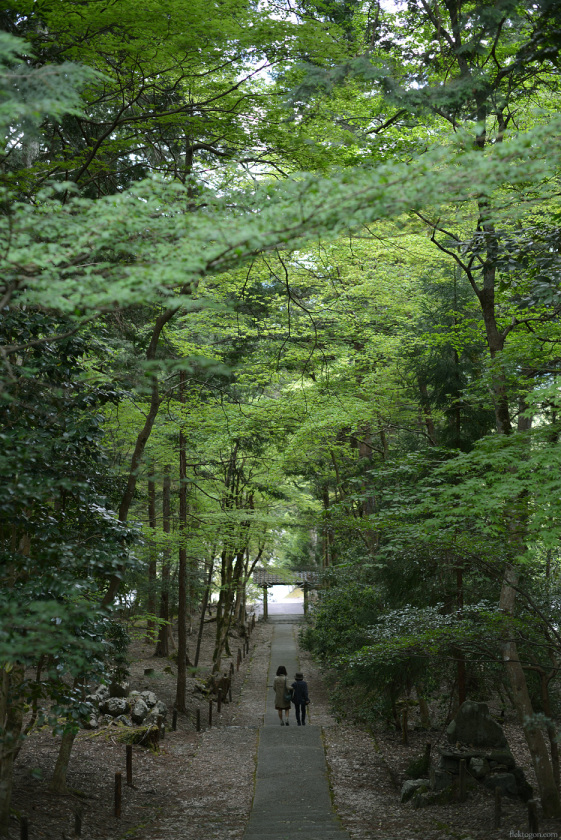 201705_Joshokoji14.jpg 201705_Joshokoji14.jpg
