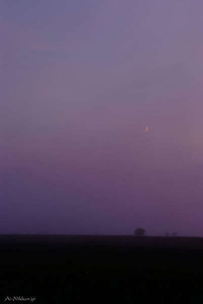 20110803_DSF6019_1.jpg