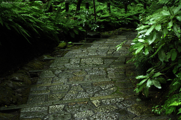 20131006_22_DSC3467.jpg 20131006_22_DSC3467.jpg