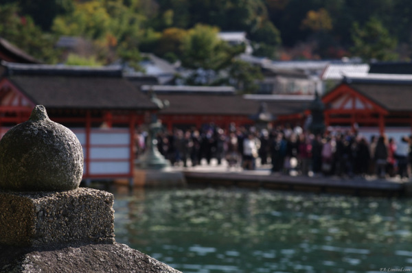 tak1011_miyajima02.jpg tak1011_miyajima02.jpg