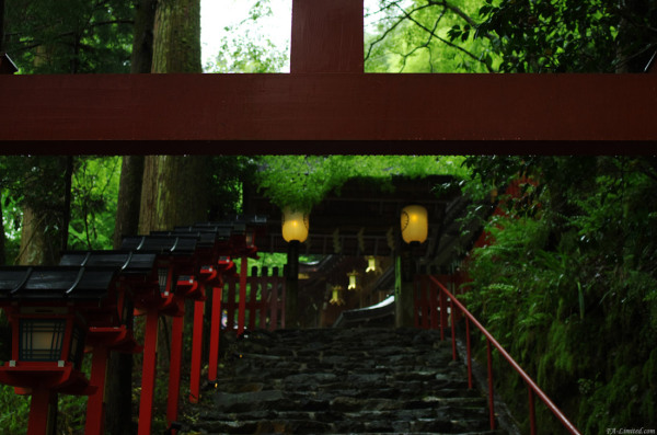 tak1205_Kifune02.jpg tak1205_Kifune02.jpg