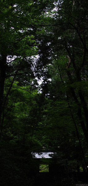 tak1208_Kyoto05.jpg tak1208_Kyoto05.jpg