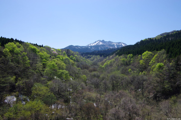 tak1204_Daisen02.jpg