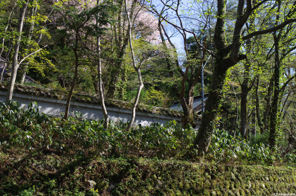 tak1204_Daisen03.jpg