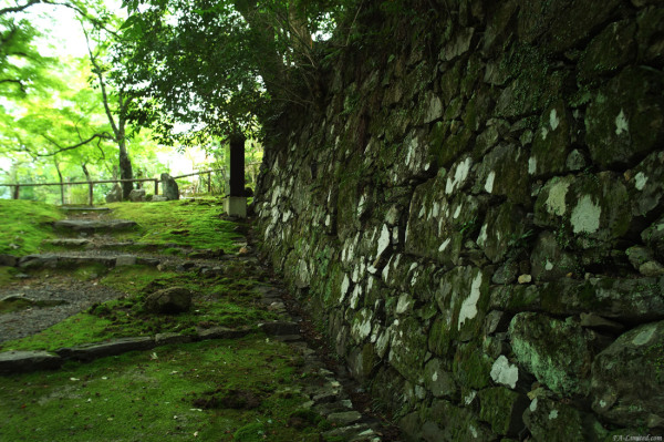 tak1408_Takao02.jpg tak1408_Takao02.jpg