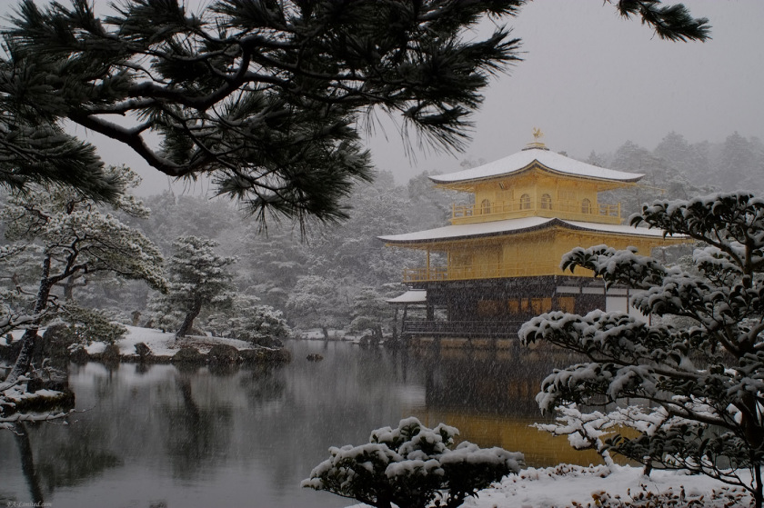 tak1501_Kinkaku01.jpg tak1501_Kinkaku01.jpg