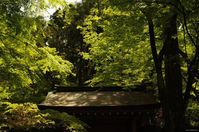 tak1605_Ohara03.jpg tak1605_Ohara03.jpg