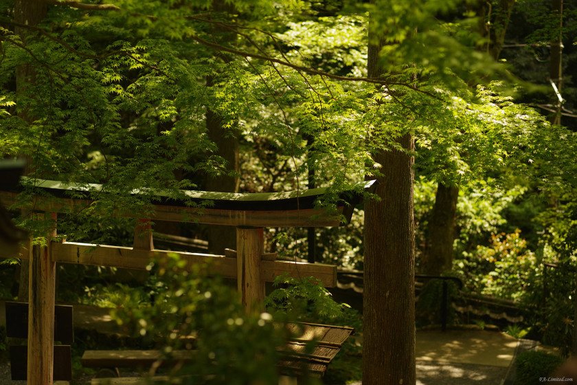 tak1605_Ohara07.jpg tak1605_Ohara07.jpg