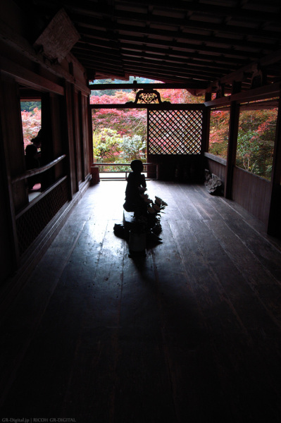 200811_Takao01b.jpg 200811_Takao01b.jpg