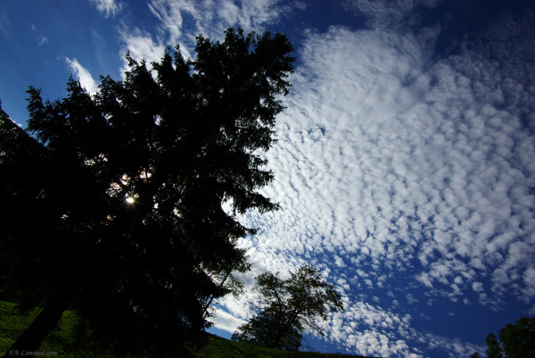 tak0808_grindelwald01.jpg