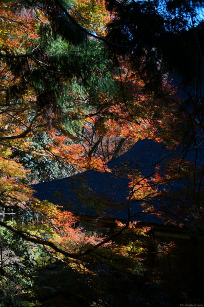 201311_murouji_06.jpg 201311_murouji_06.jpg