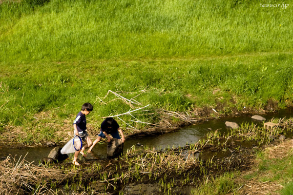 201004_IMGP0871.jpg 201004_IMGP0871.jpg